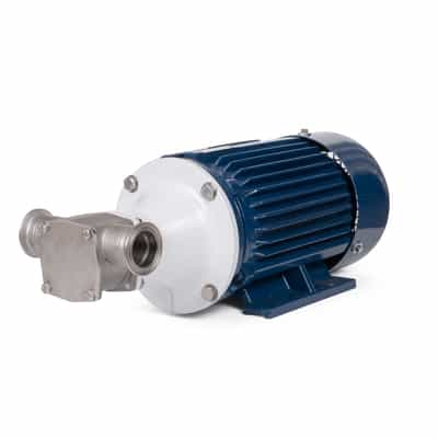 SQN 20 Head + Motor Assembly